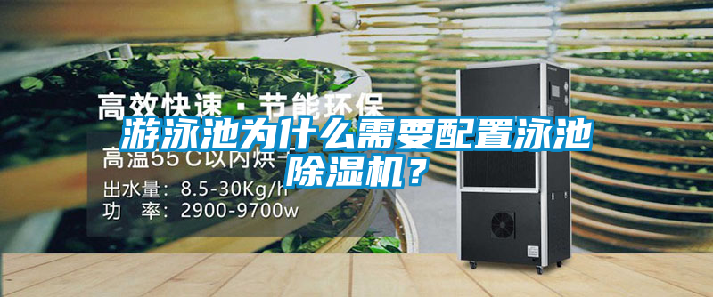 游泳池為什么需要配置泳池除濕機？