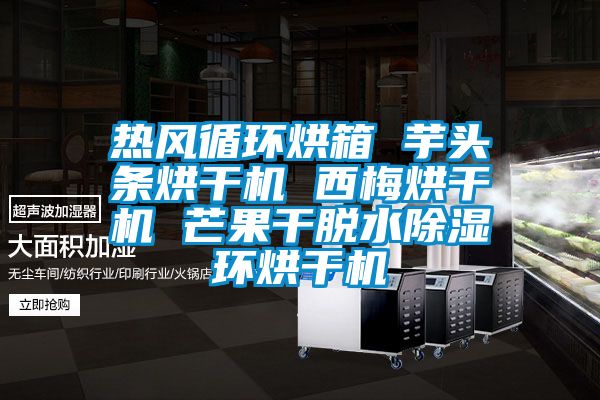 熱風循環烘箱 芋頭條烘干機 西梅烘干機 芒果干脫水除濕環烘干機