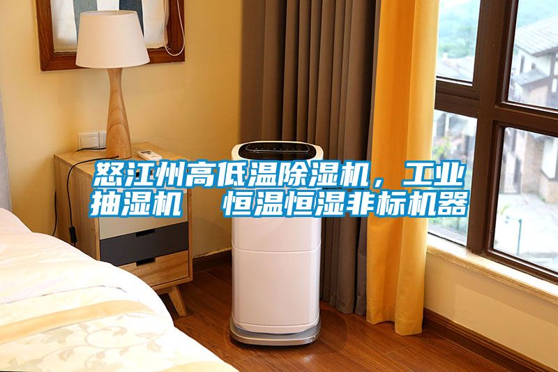 怒江州高低溫除濕機,工業抽濕機 恒溫恒濕非標機器