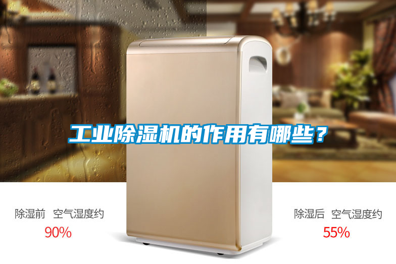 工業除濕機的作用有哪些？