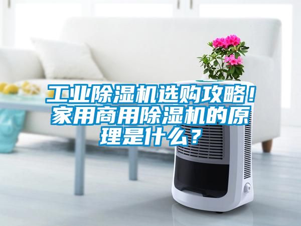 工業(yè)除濕機選購攻略!家用商用除濕機的原理是什么?
