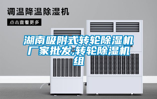 湖南吸附式轉輪除濕機廠家批發,轉輪除濕機組
