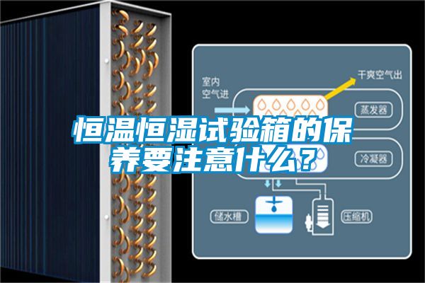 恒溫恒濕試驗箱的保養(yǎng)要注意什么？