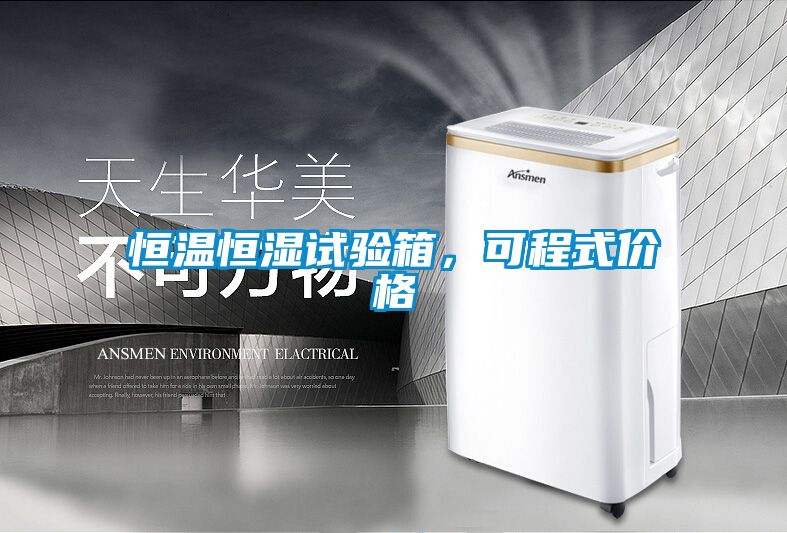 恒溫恒濕試驗箱,可程式價格