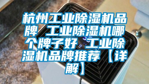 杭州工業(yè)除濕機(jī)品牌 工業(yè)除濕機(jī)哪個牌子好 工業(yè)除濕機(jī)品牌推薦【詳解】