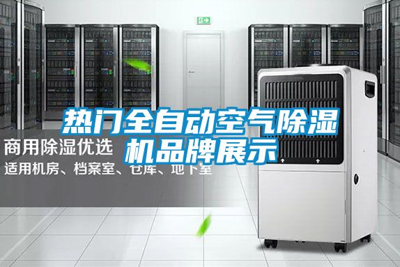 熱門全自動空氣除濕機品牌展示