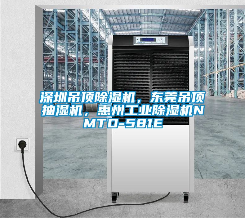 深圳吊頂除濕機，東莞吊頂抽濕機，惠州工業(yè)除濕機NMTD-581E