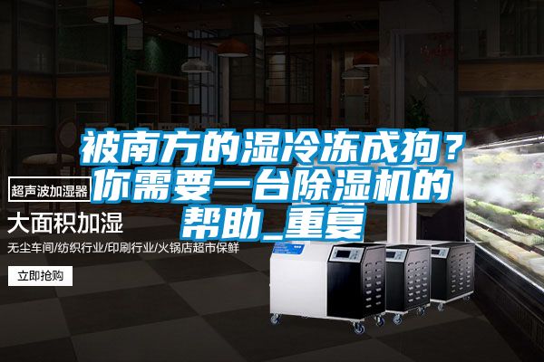 被南方的濕冷凍成狗?你需要一臺(tái)除濕機(jī)的幫助_重復(fù)