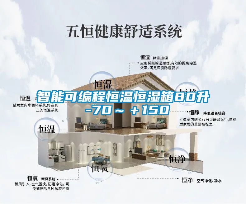 智能可編程恒溫恒濕箱80升 -70~+150℃