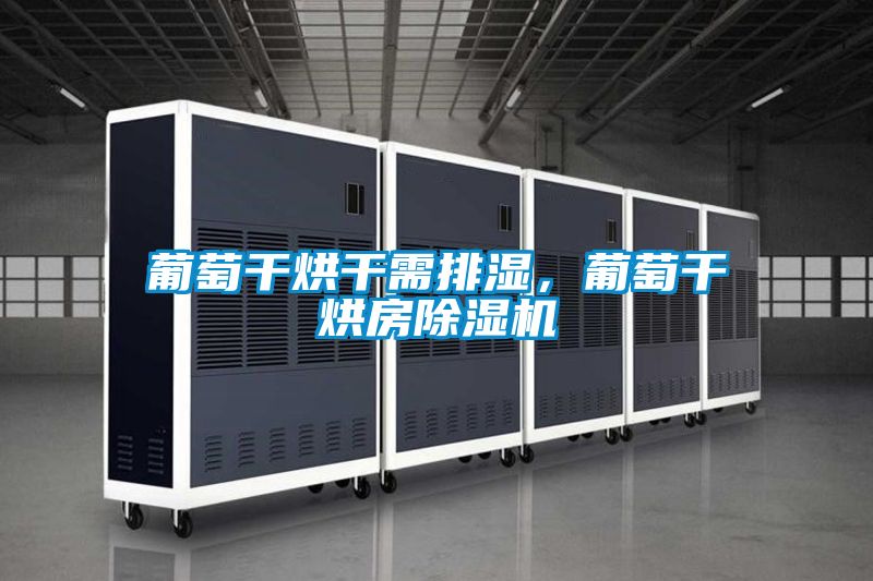 葡萄干烘干需排濕，葡萄干烘房除濕機