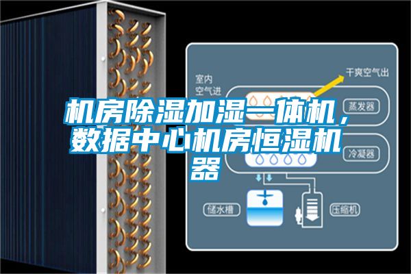 機房除濕加濕一體機，數(shù)據(jù)中心機房恒濕機器