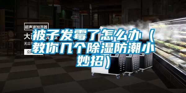 被子發(fā)霉了怎么辦(教你幾個除濕防潮小妙招)