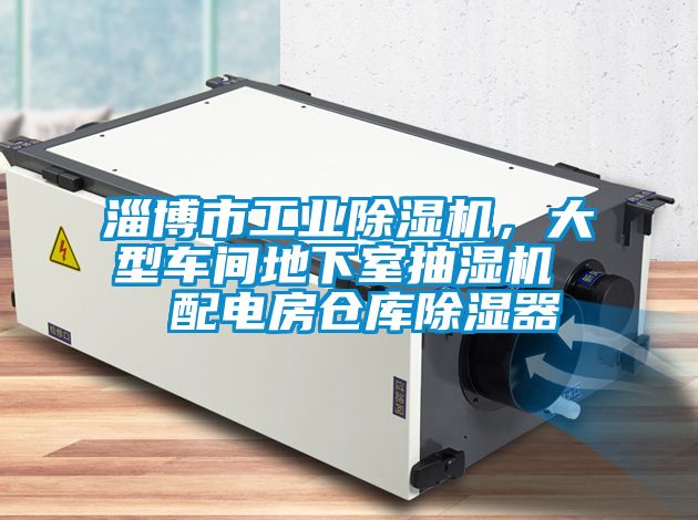 淄博市工業除濕機,大型車間地下室抽濕機 配電房倉庫除濕器