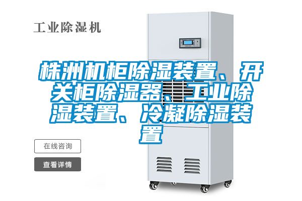 株洲機柜除濕裝置、開關(guān)柜除濕器、工業(yè)除濕裝置、冷凝除濕裝置
