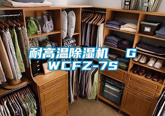 耐高溫除濕機 GWCFZ-7S