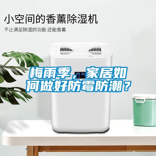 梅雨季，家居如何做好防霉防潮？
