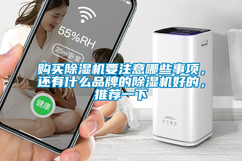 購買除濕機要注意哪些事項,還有什么品牌的除濕機好的,推薦一下