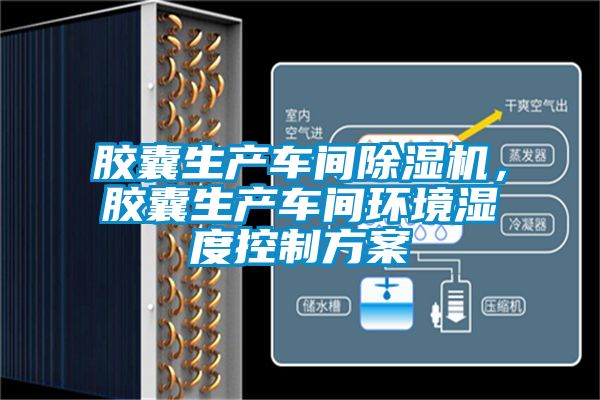 膠囊生產(chǎn)車間除濕機(jī)，膠囊生產(chǎn)車間環(huán)境濕度控制方案