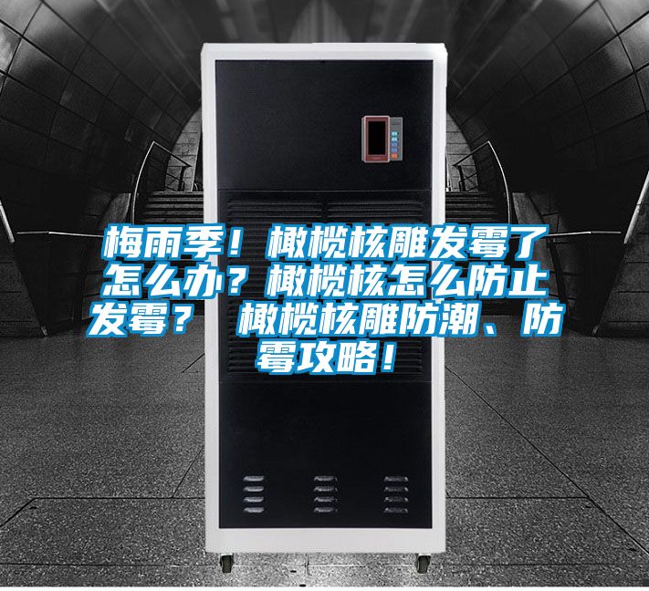 梅雨季!橄欖核雕發霉了怎么辦?橄欖核怎么防止發霉? 橄欖核雕防潮、防霉攻略!