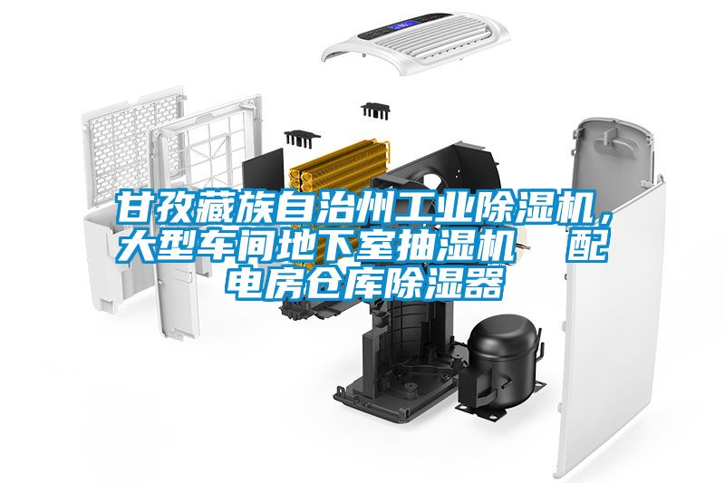 甘孜藏族自治州工業(yè)除濕機(jī)，大型車間地下室抽濕機(jī)  配電房倉(cāng)庫除濕器