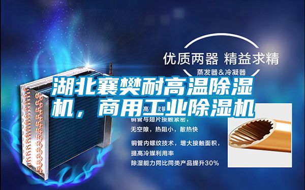 湖北襄樊耐高溫除濕機，商用工業除濕機
