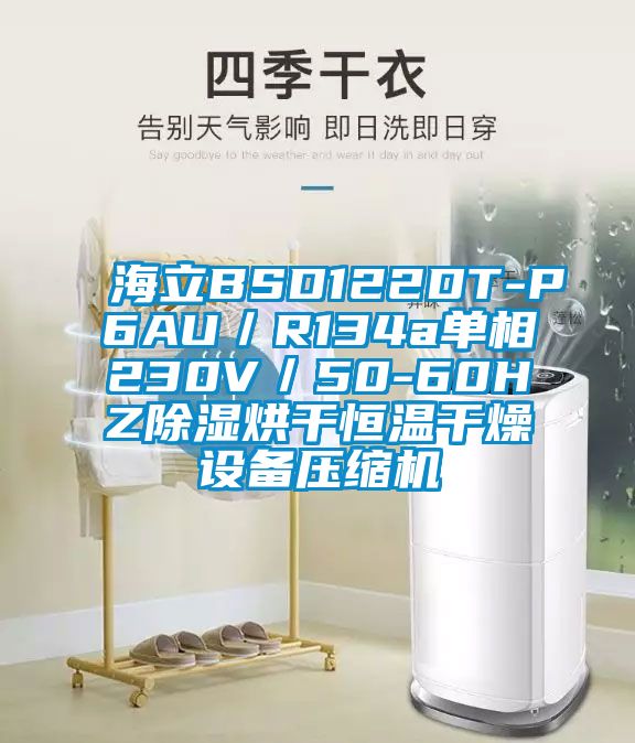 海立BSD122DT-P6AU/R134a單相230V/50-60HZ除濕烘干恒溫干燥設備壓縮機