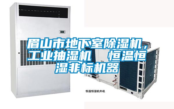 眉山市地下室除濕機(jī)，工業(yè)抽濕機(jī)  恒溫恒濕非標(biāo)機(jī)器