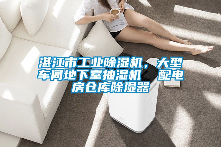 湛江市工業除濕機,大型車間地下室抽濕機 配電房倉庫除濕器