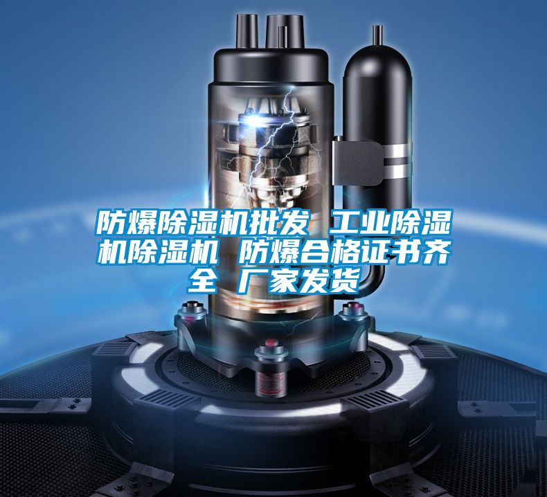防爆除濕機批發 工業除濕機除濕機 防爆合格證書齊全 廠家發貨