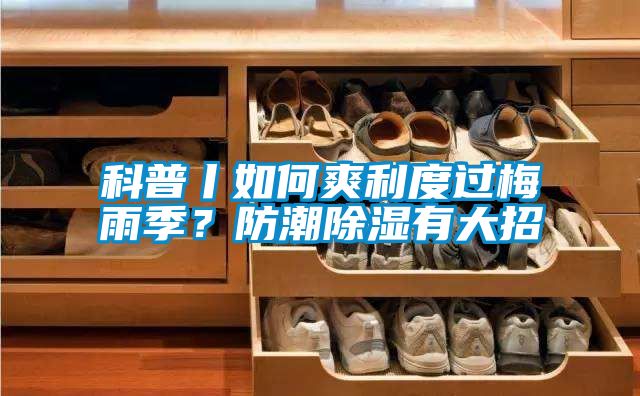 科普丨如何爽利度過梅雨季?防潮除濕有大招