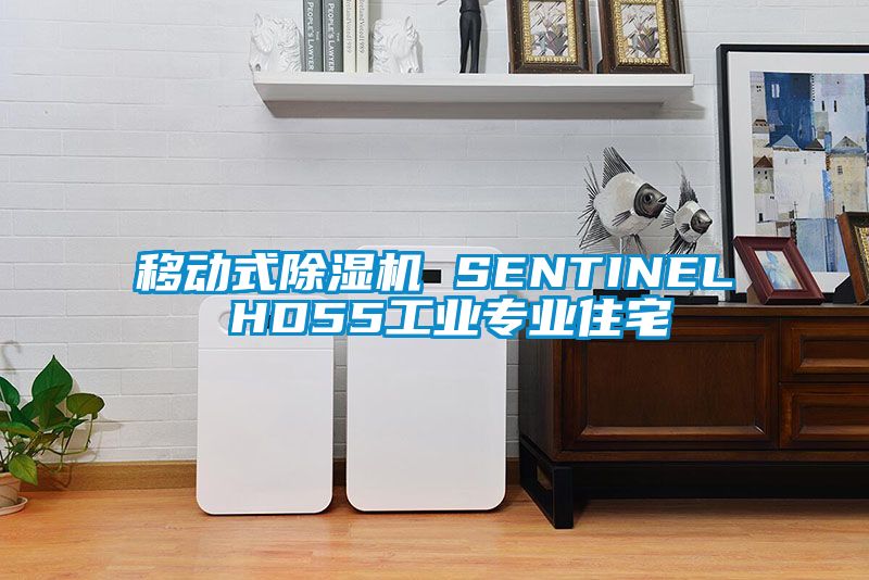 移動式除濕機 SENTINEL HD55工業專業住宅
