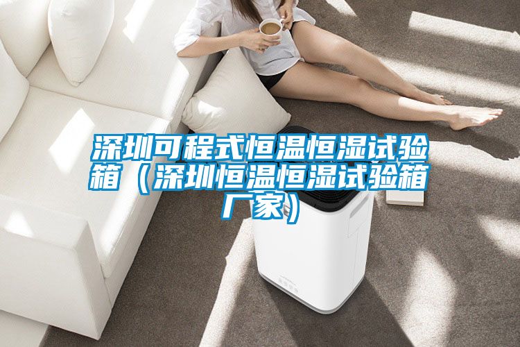 深圳可程式恒溫恒濕試驗箱(深圳恒溫恒濕試驗箱廠家)