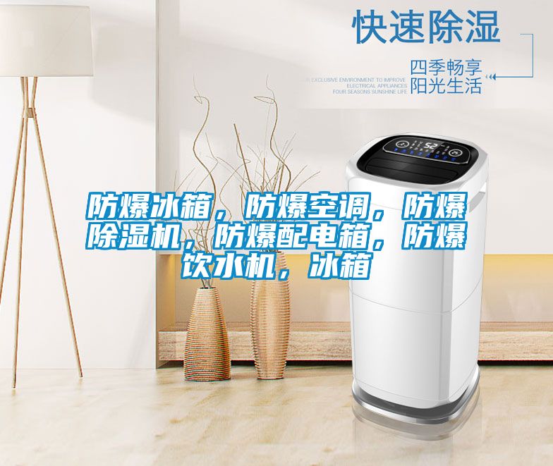 防爆冰箱，防爆空調(diào)，防爆除濕機，防爆配電箱，防爆飲水機，冰箱