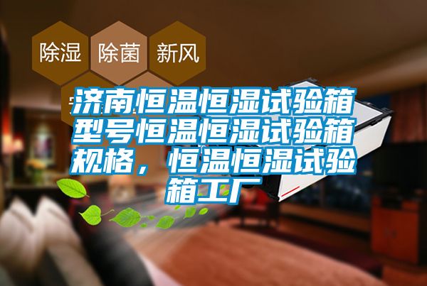 濟南恒溫恒濕試驗箱型號恒溫恒濕試驗箱規格,恒溫恒濕試驗箱工廠