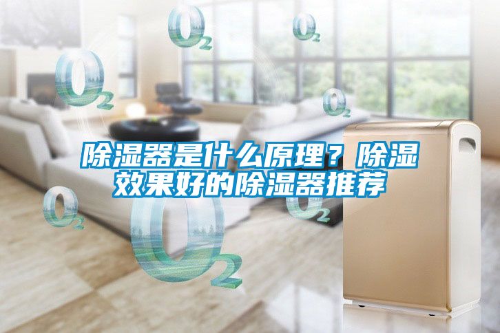 除濕器是什么原理？除濕效果好的除濕器推薦