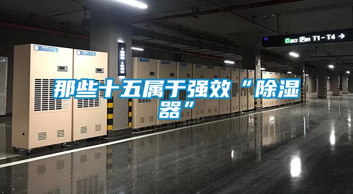 那些十五屬于強效“除濕器”