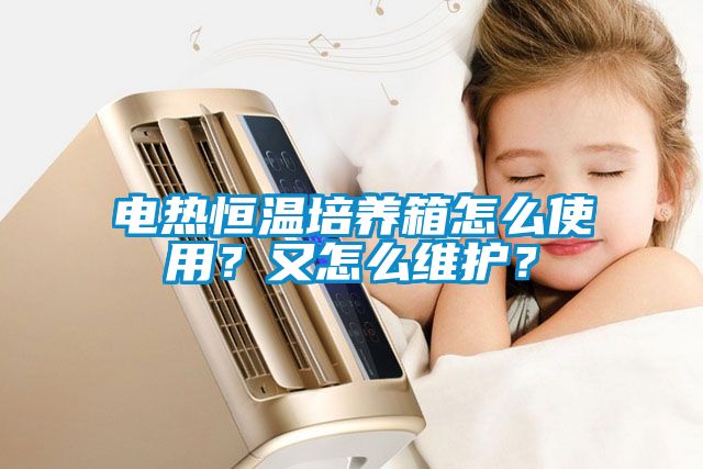 電熱恒溫培養箱怎么使用？又怎么維護？