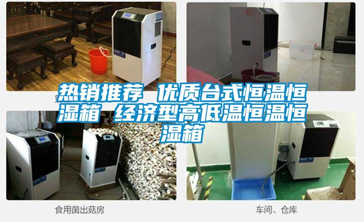 熱銷推薦 優質臺式恒溫恒濕箱 經濟型高低溫恒溫恒濕箱