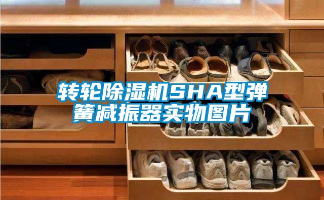 轉輪除濕機SHA型彈簧減振器實物圖片