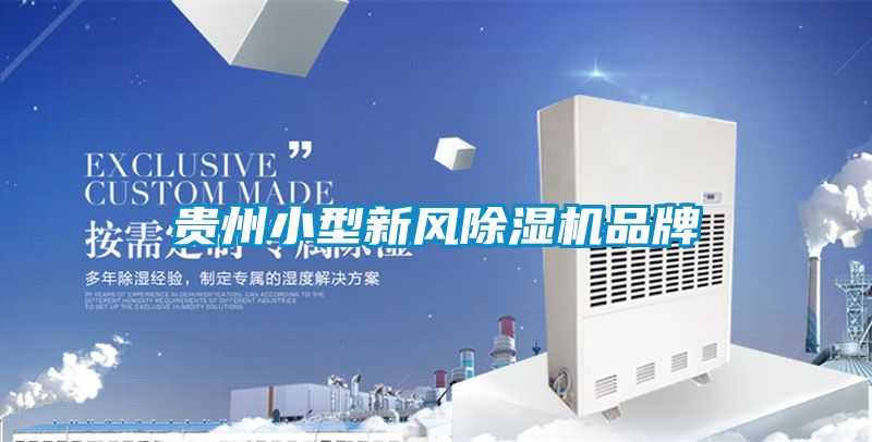 貴州小型新風除濕機品牌