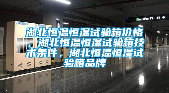 湖北恒溫恒濕試驗箱價格，湖北恒溫恒濕試驗箱技術條件，湖北恒溫恒濕試驗箱品牌