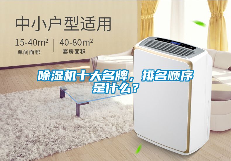 除濕機十大名牌，排名順序是什么？