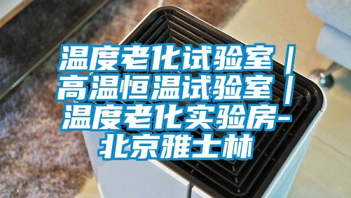 溫度老化試驗室|高溫恒溫試驗室|溫度老化實驗房-北京雅士林