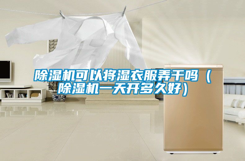 除濕機可以將濕衣服弄干嗎(除濕機一天開多久好)