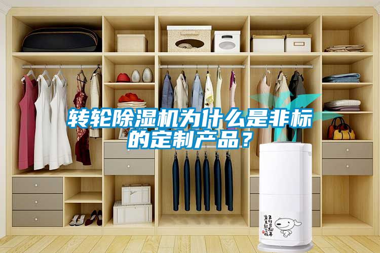 轉輪除濕機為什么是非標的定制產品？