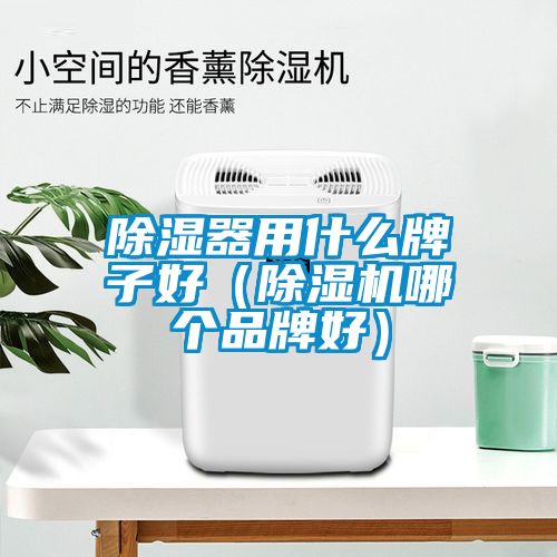 除濕器用什么牌子好(除濕機哪個品牌好)