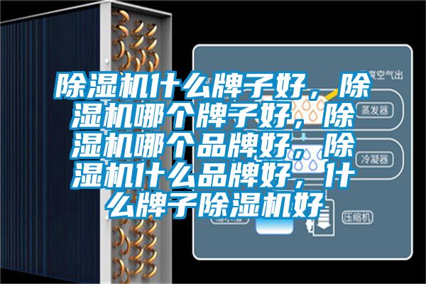 除濕機(jī)什么牌子好,除濕機(jī)哪個牌子好,除濕機(jī)哪個品牌好,除濕機(jī)什么品牌好,什么牌子除濕機(jī)好