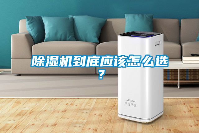除濕機到底應該怎么選?