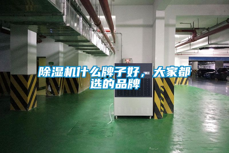 除濕機什么牌子好，大家都選的品牌