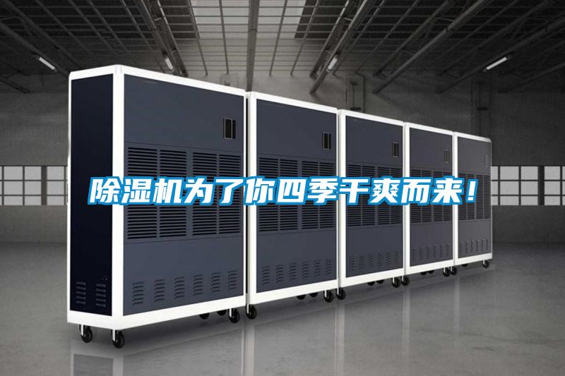 除濕機為了你四季干爽而來!